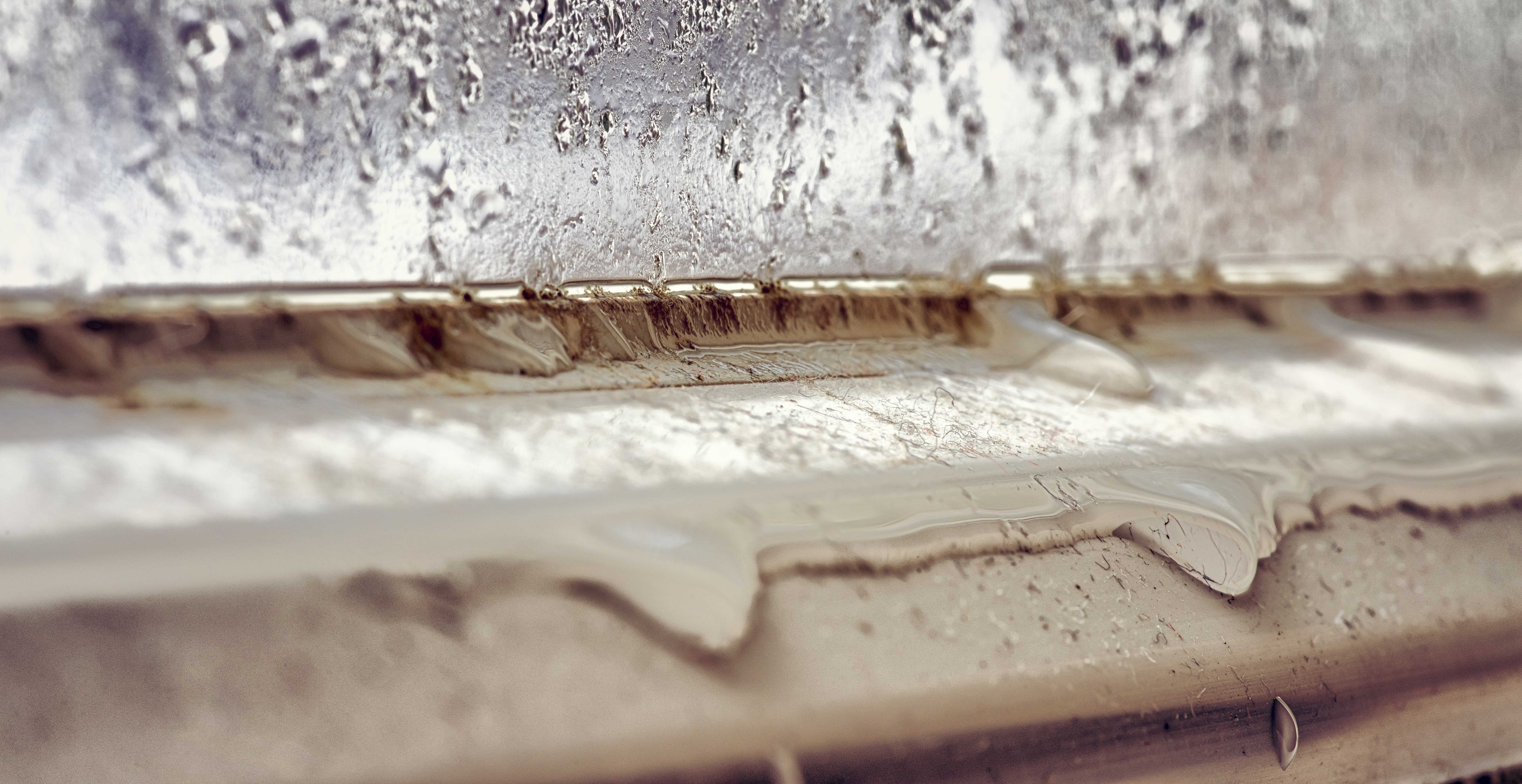 How To Prevent Mold Growth on Window Sills