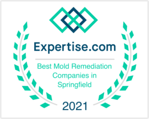 Best Mold Remediation Companies in Springfield Missouri