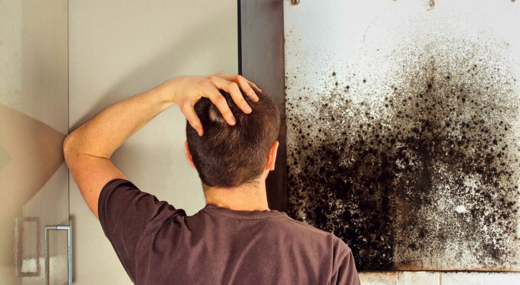 Work With Your Landlord If You Need Black Mold Removal in Springfield Missouri