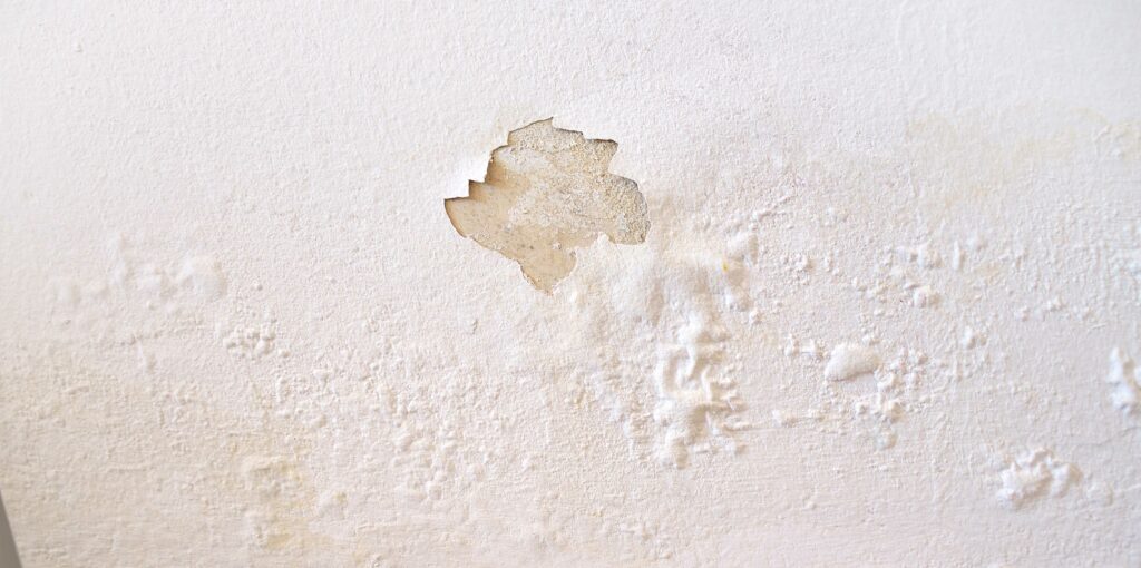 Wet Drywall Can Cause Mold Infestation in Springfield Missouri