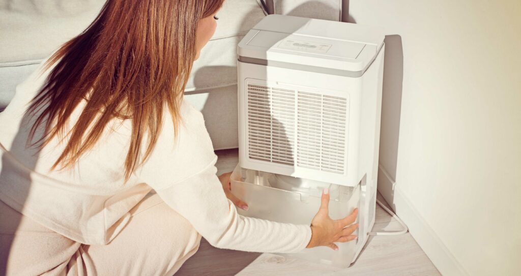 Dehumidifiers Help Prevent Mold In House Springfield Missouri