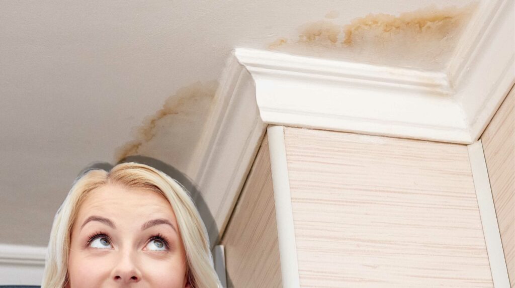 Fix Leaks To Prevent Mold Infestation in Springfield Missouri