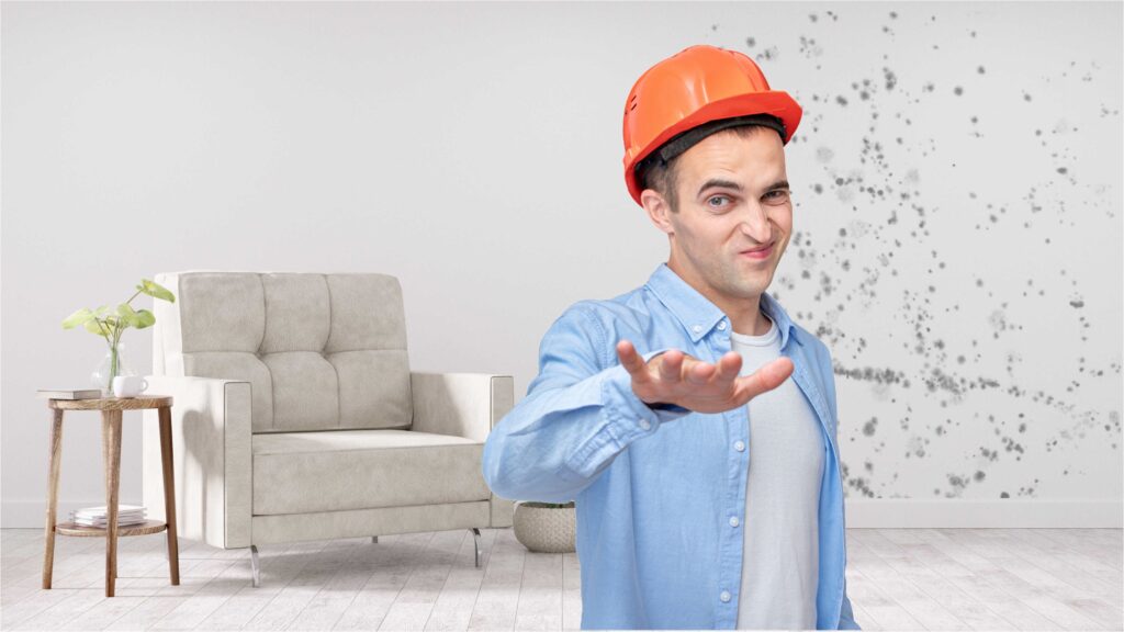 Risks When Hiring Uninsured Contractors For Mold Remediation in Springfield Missouri