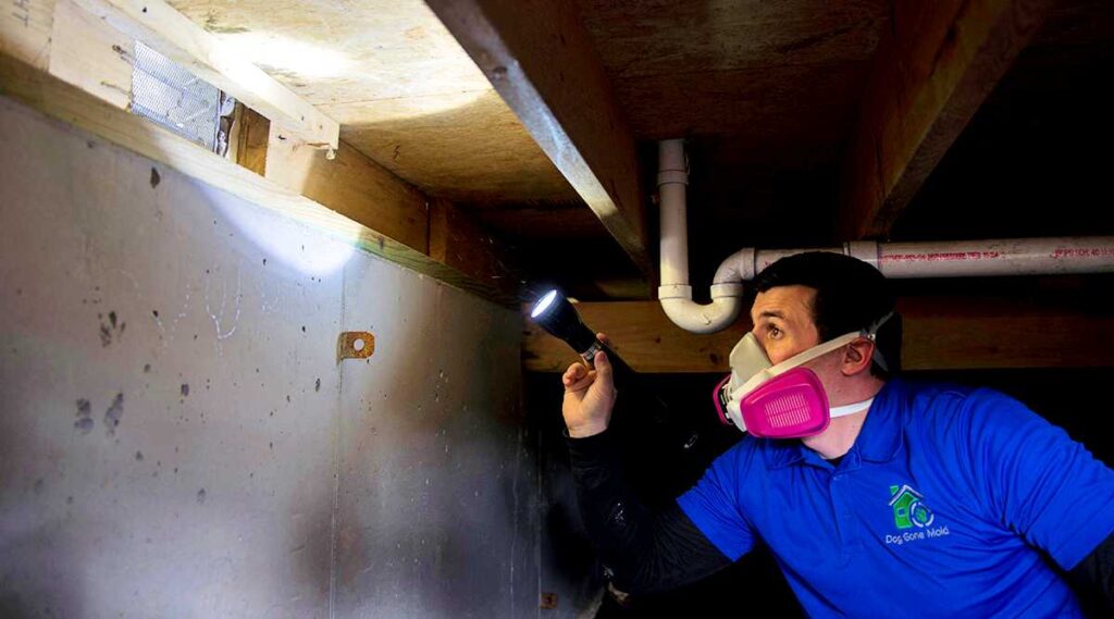 Ask For Mold Reinspection After Repairs Complete Before Closing