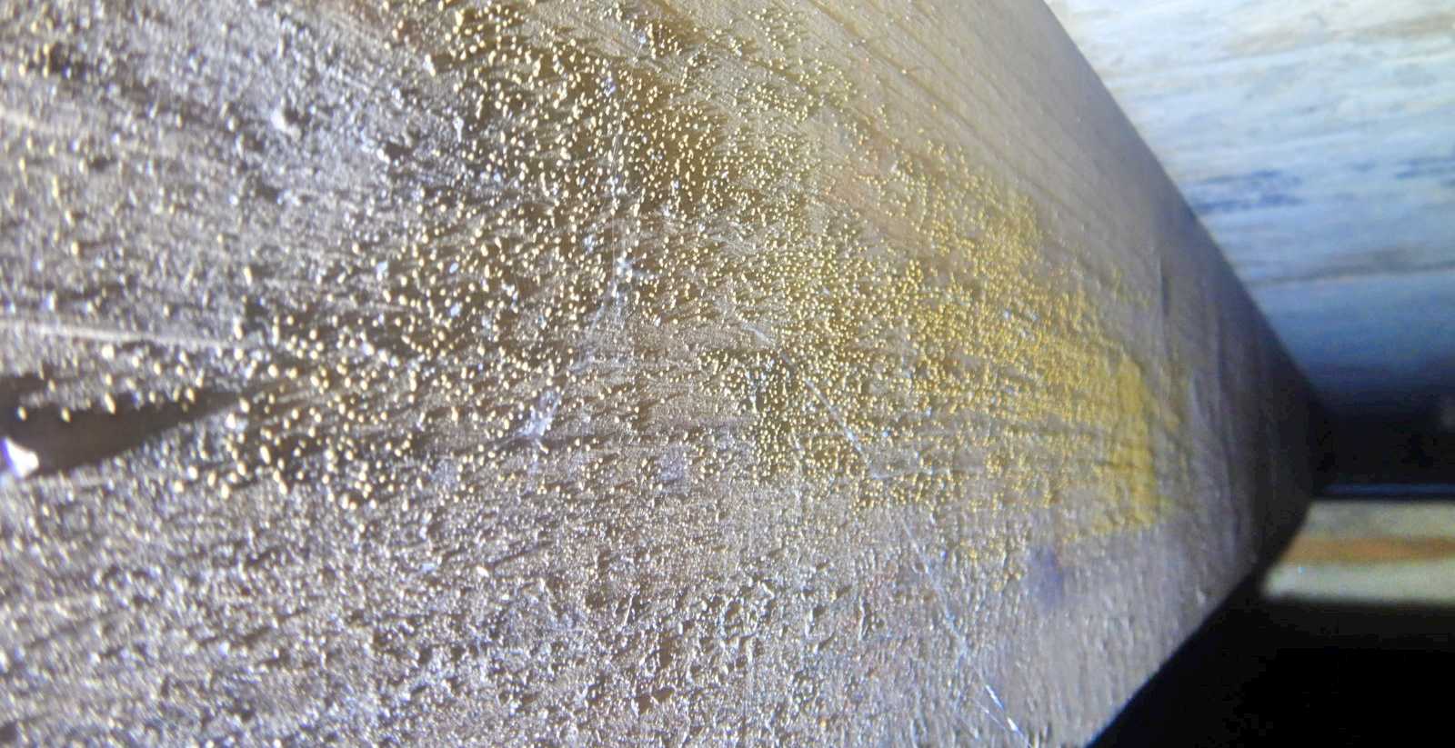Ask For Mold Reinspection After Repairs Complete Before Closing - Leftover Mold